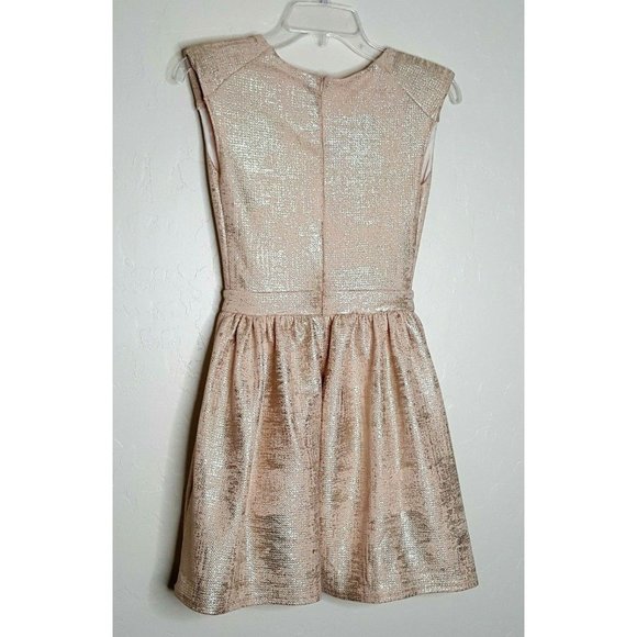 Charlotte Russe Size Small Pink Silver Skater Dress Sleeveless Back Zip NWT - Picture 5 of 7